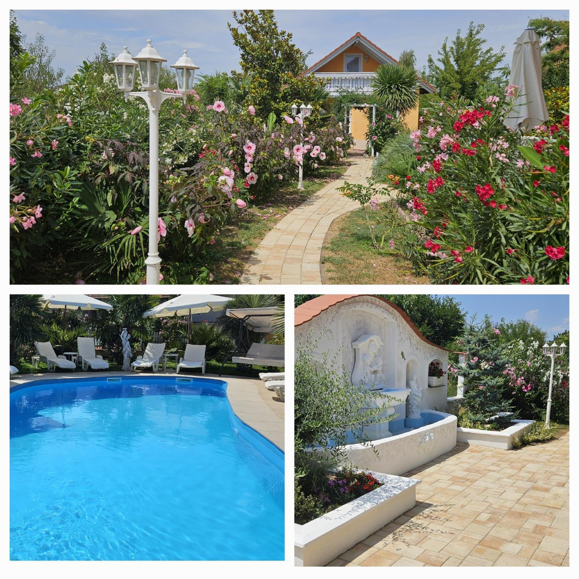 Paradise-Garden-Zamardi Room photo
